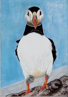 Billy the Puffin